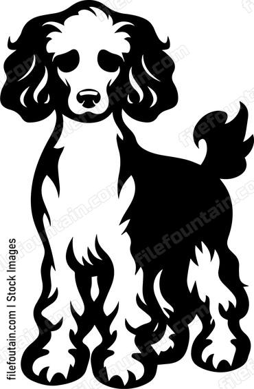 Poodle