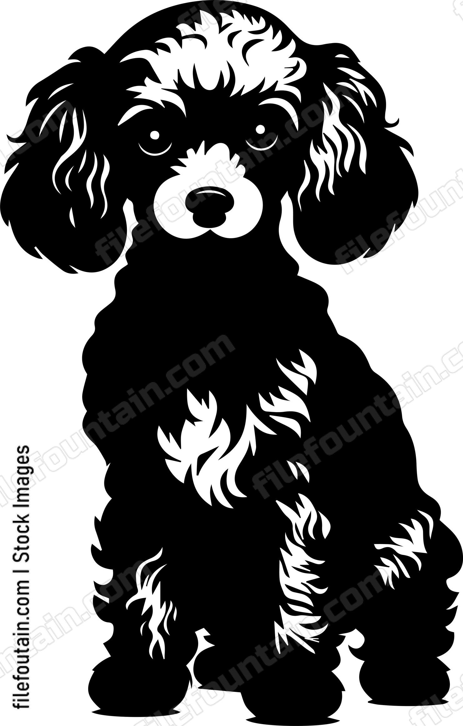 Poodle