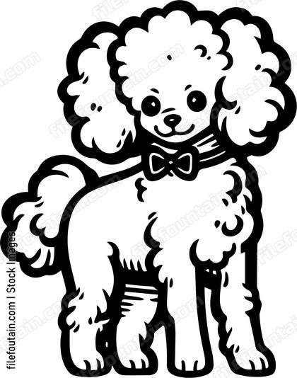 Poodle
