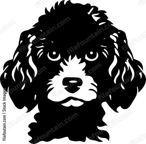 Poodle