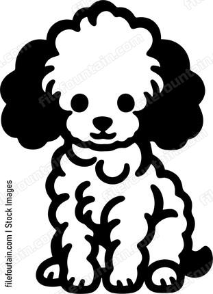 Poodle