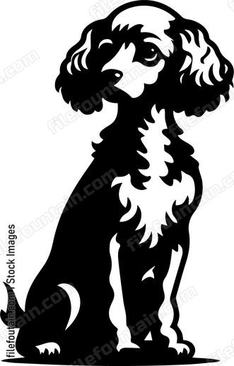 Poodle