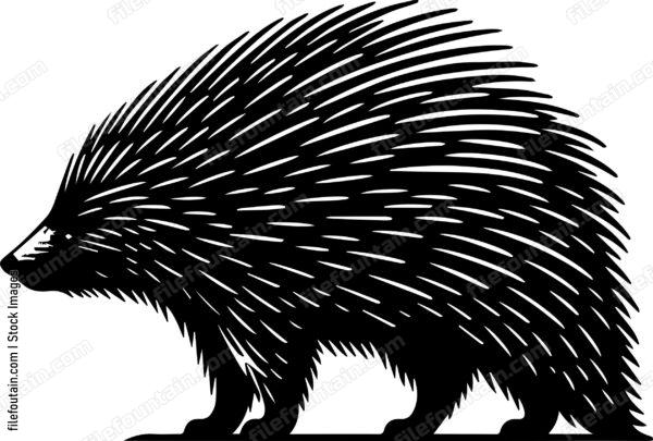 Porcupine