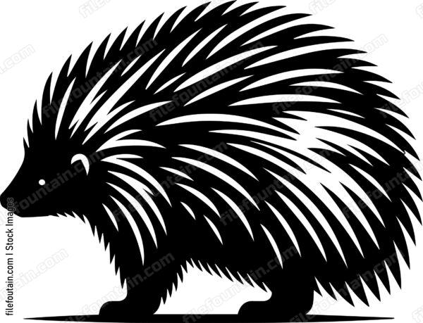 Porcupine