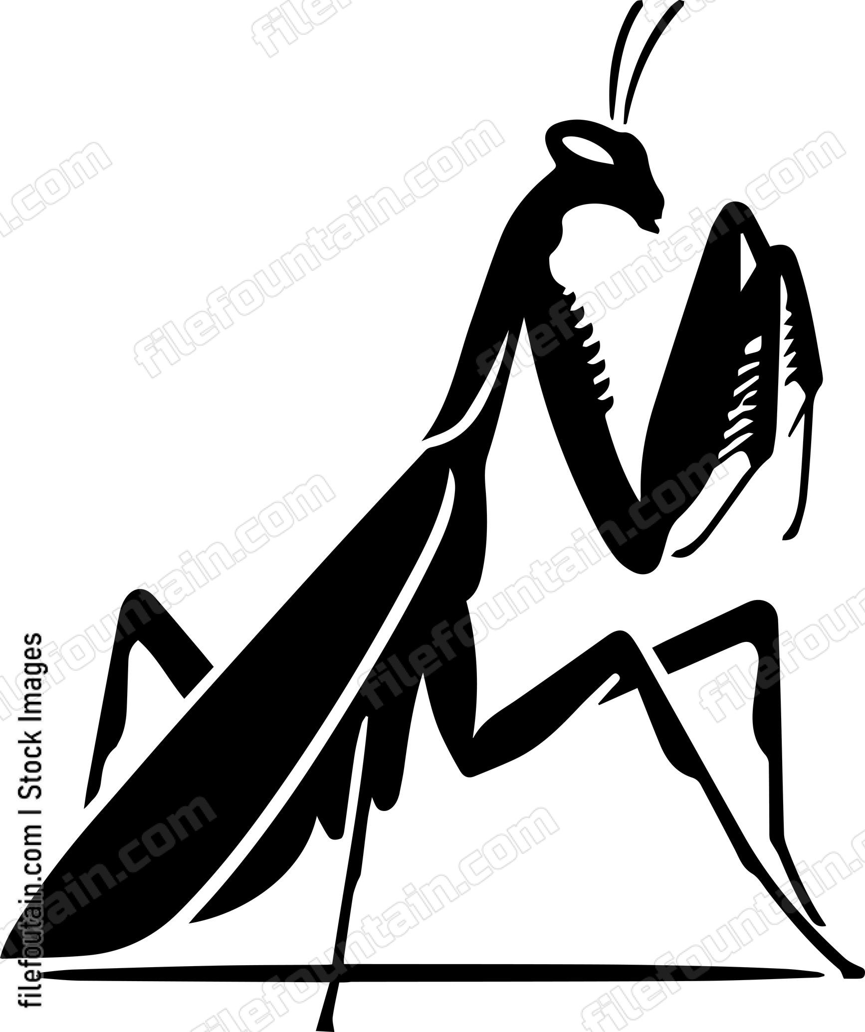 Praying Mantis