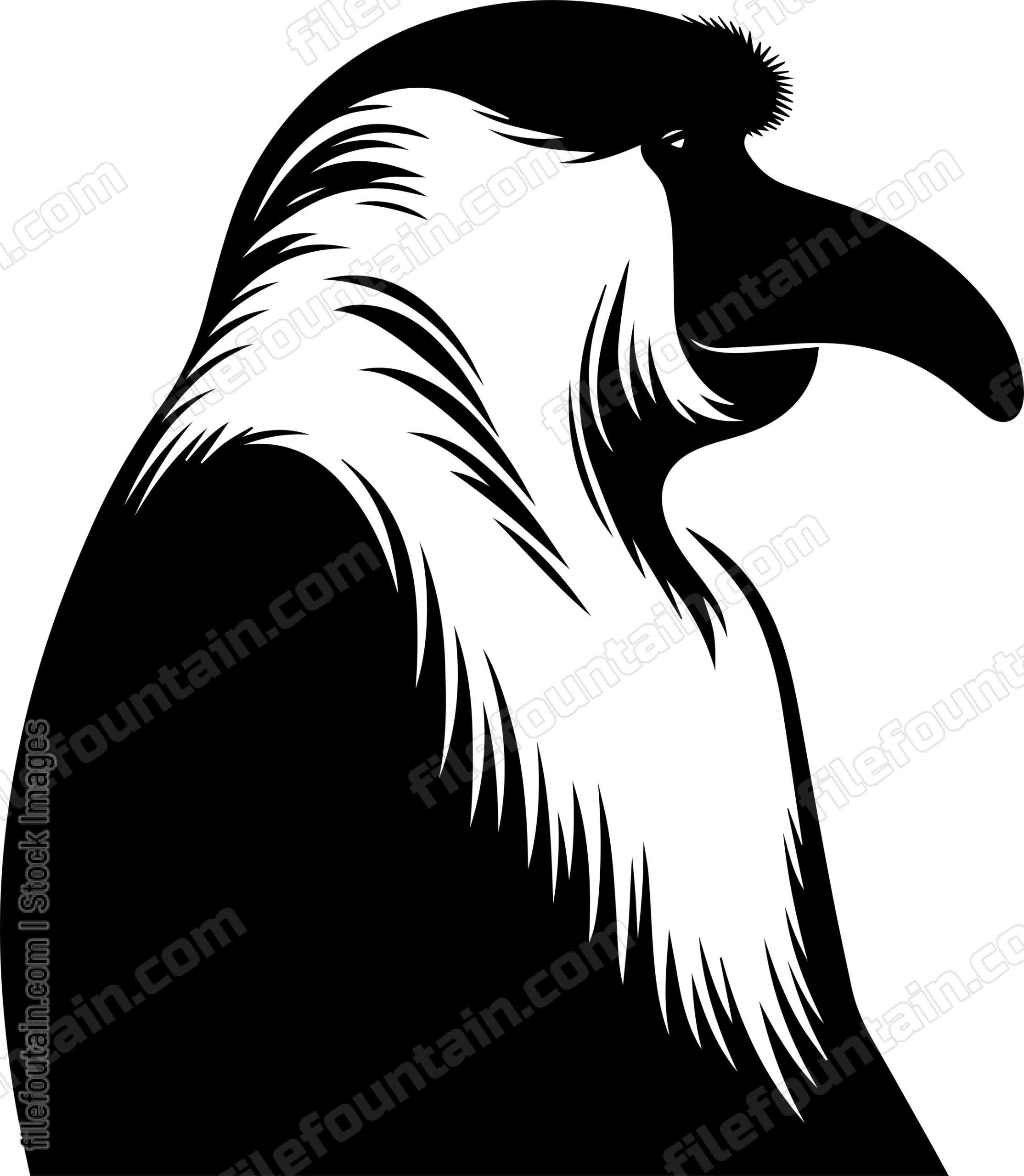 Proboscis Monkey