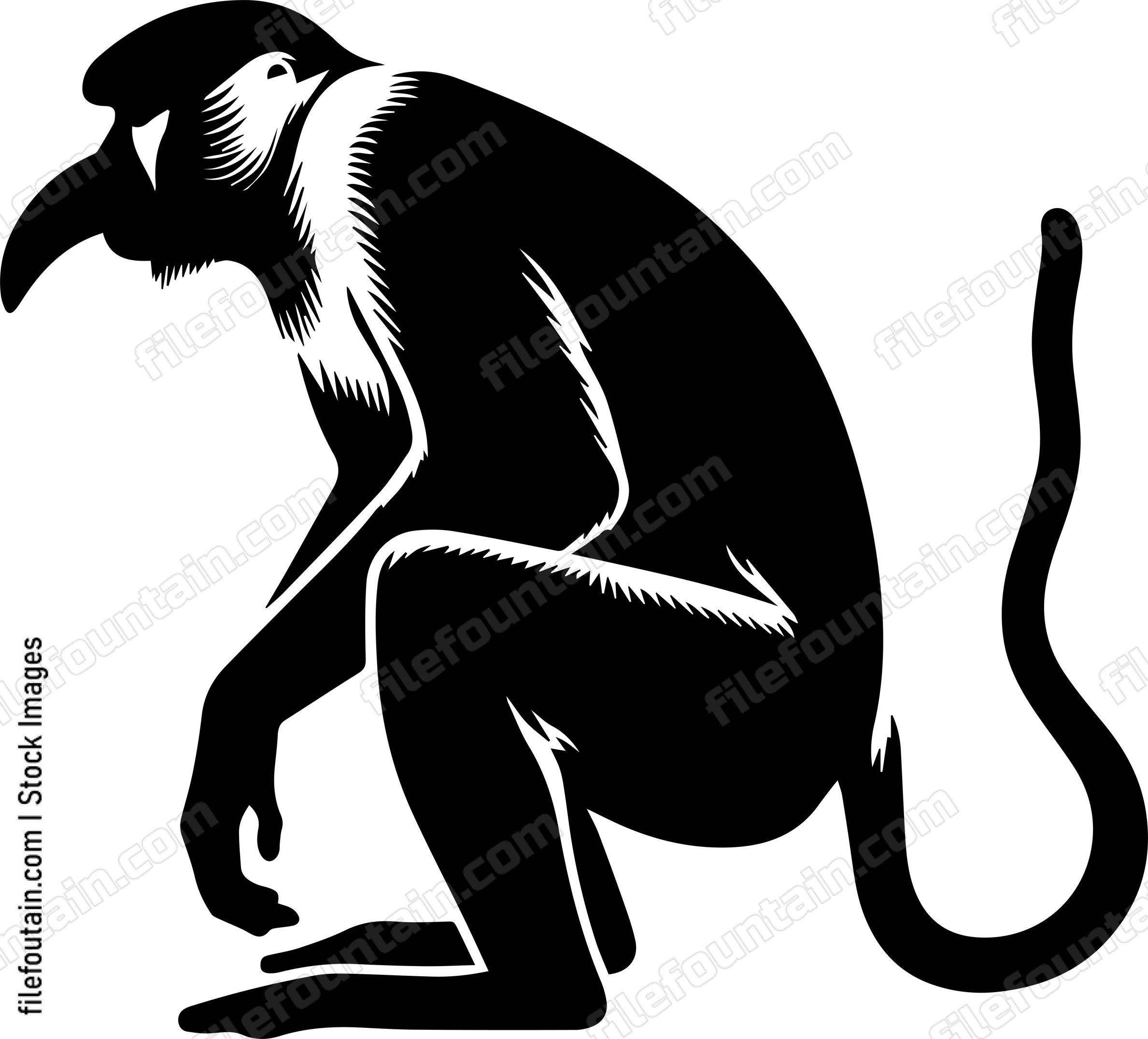 Proboscis Monkey