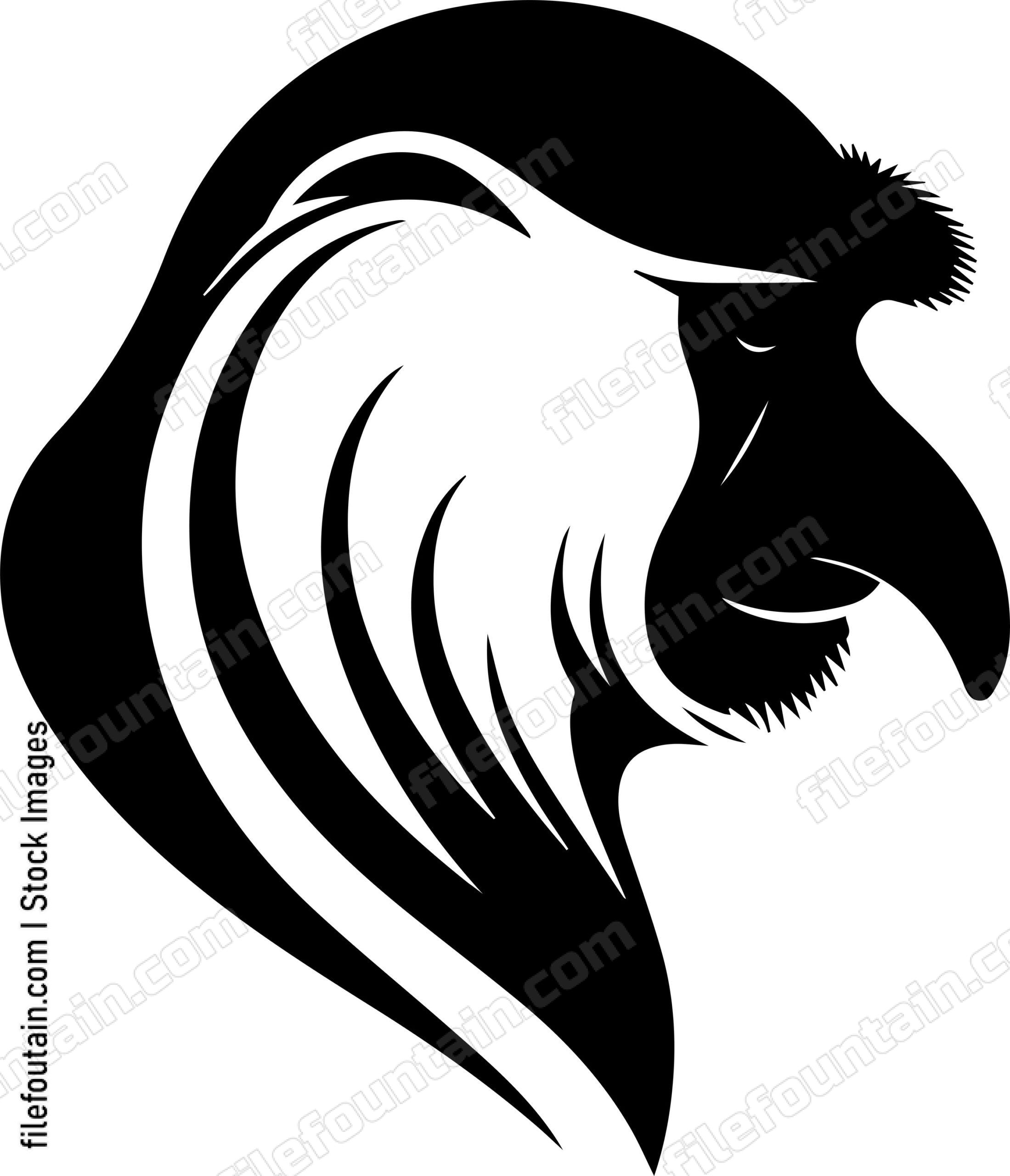 Proboscis Monkey
