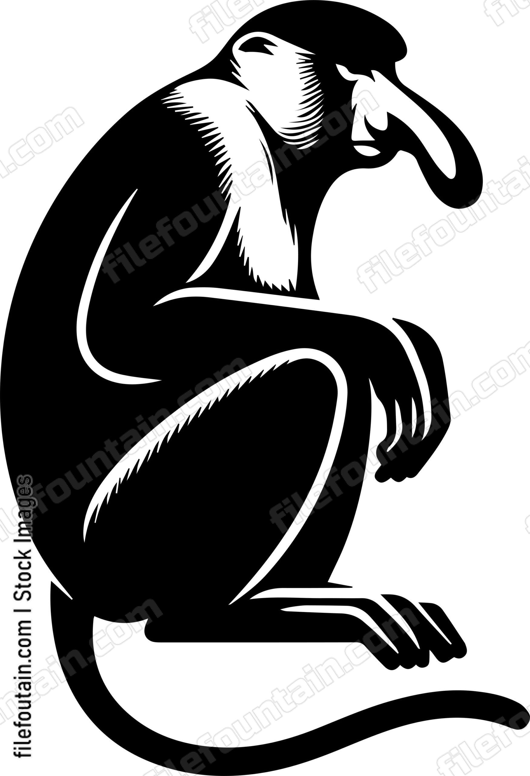 Proboscis Monkey