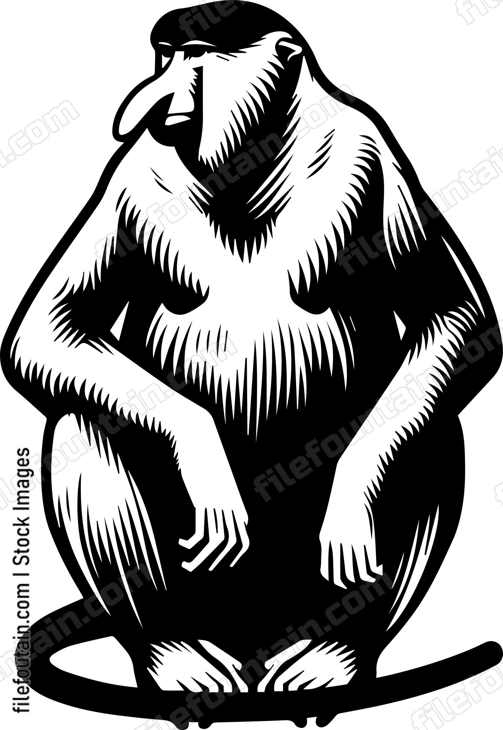 Proboscis Monkey