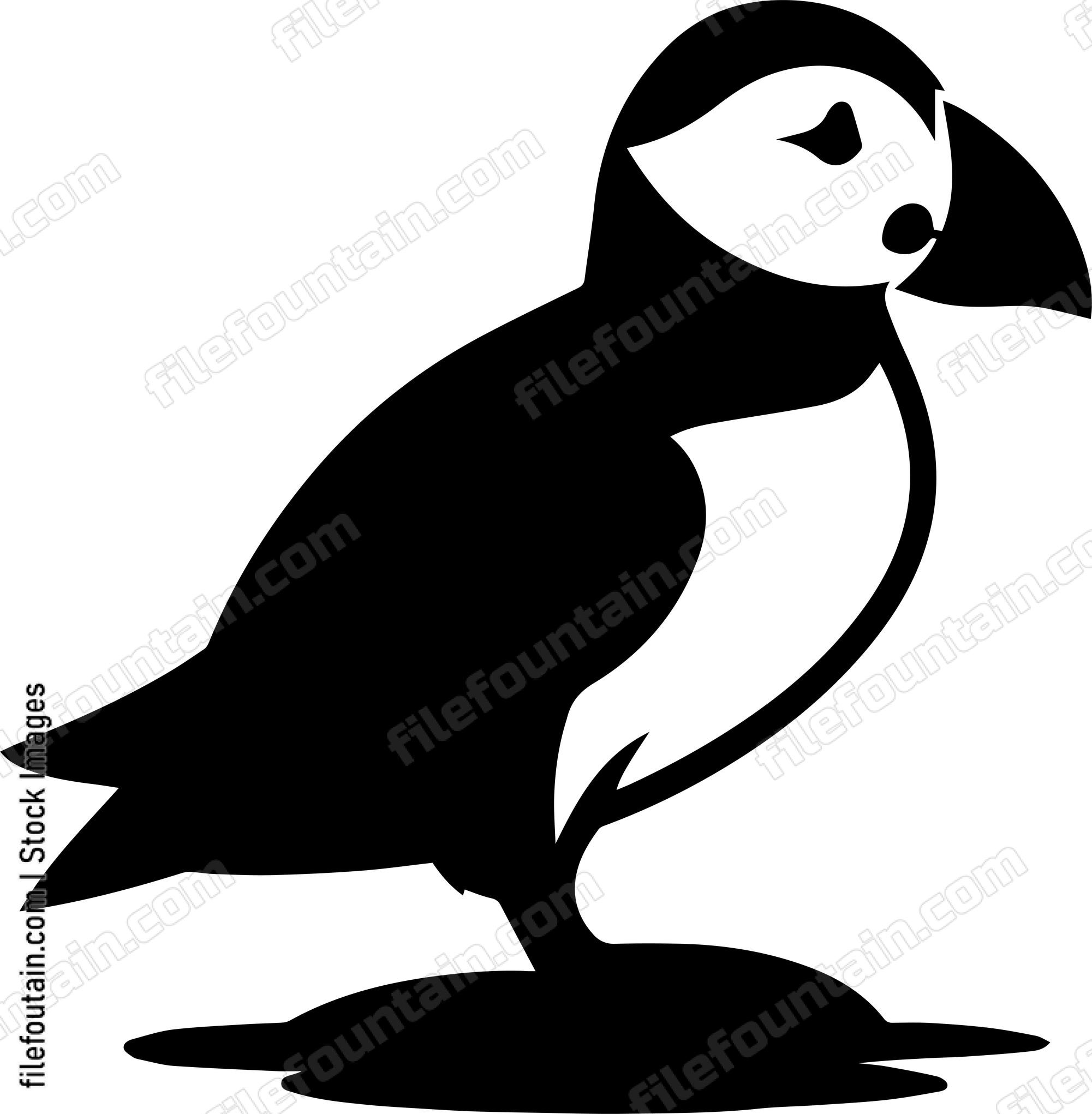 Puffin