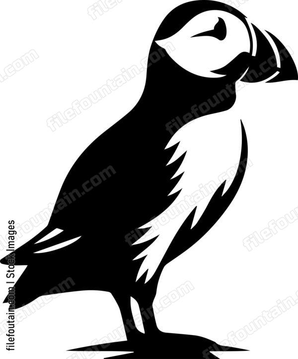 Puffin