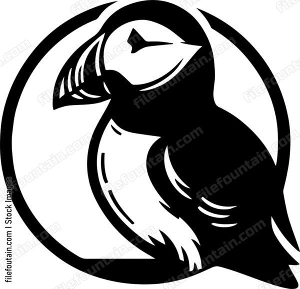 Puffin