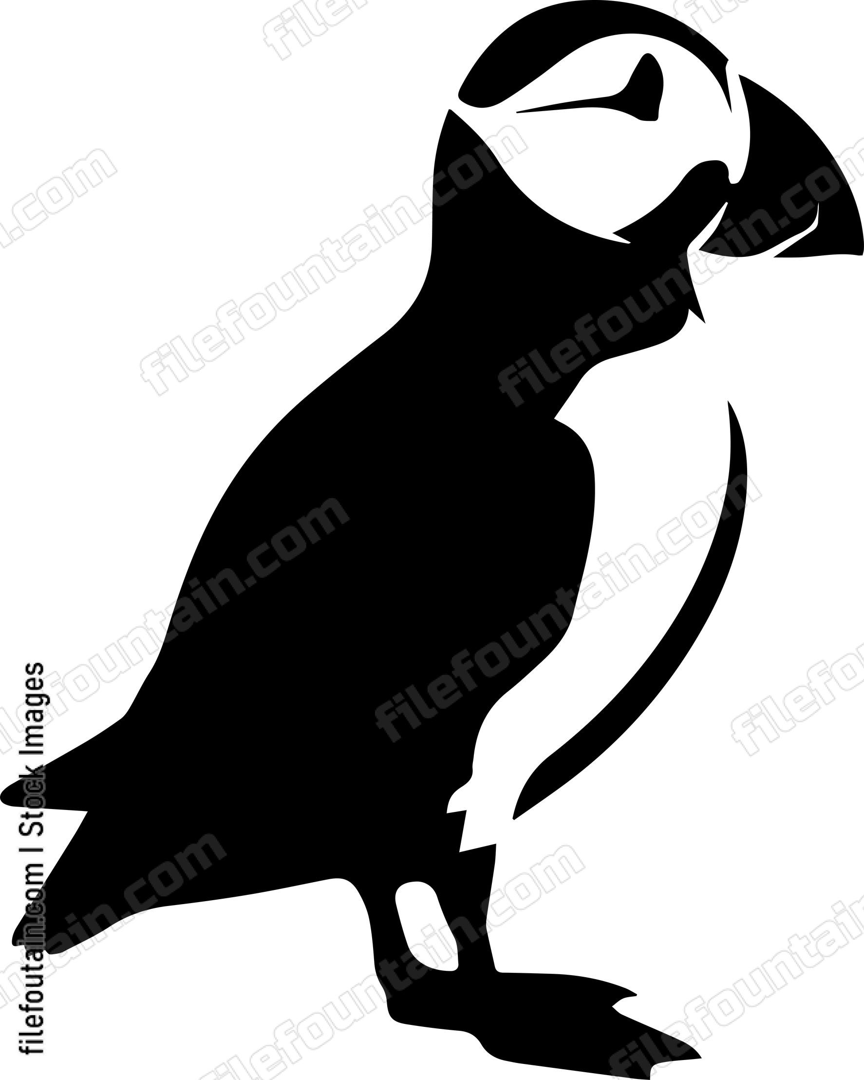Puffin