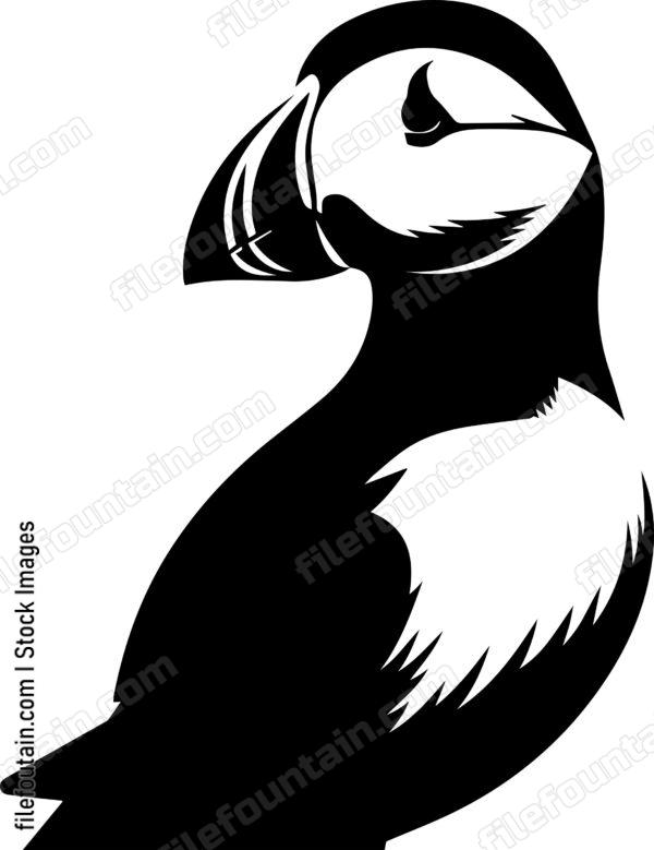 Puffin