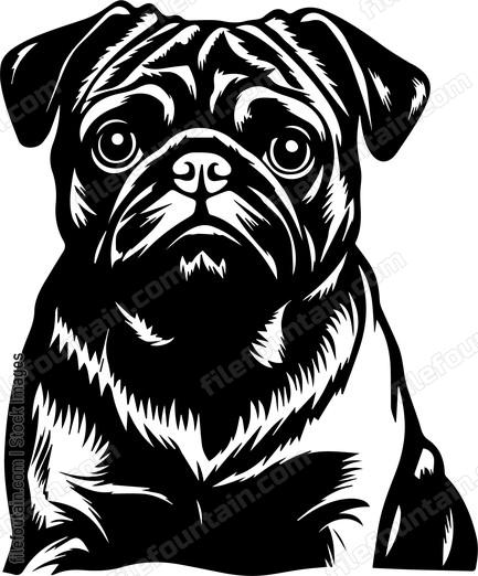 Pug