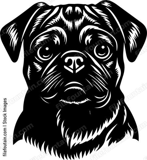 Pug