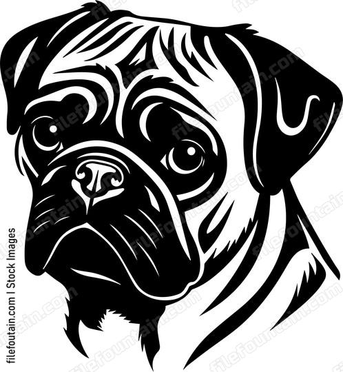 Pug