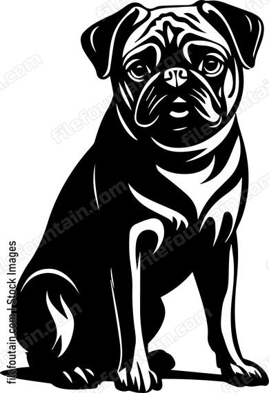 Pug