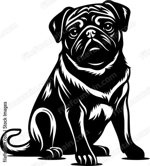 Pug