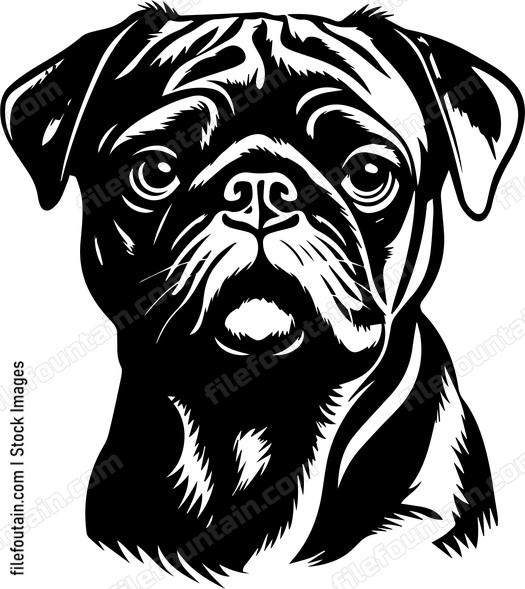 Pug