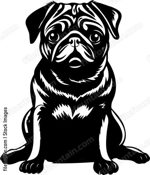 Pug