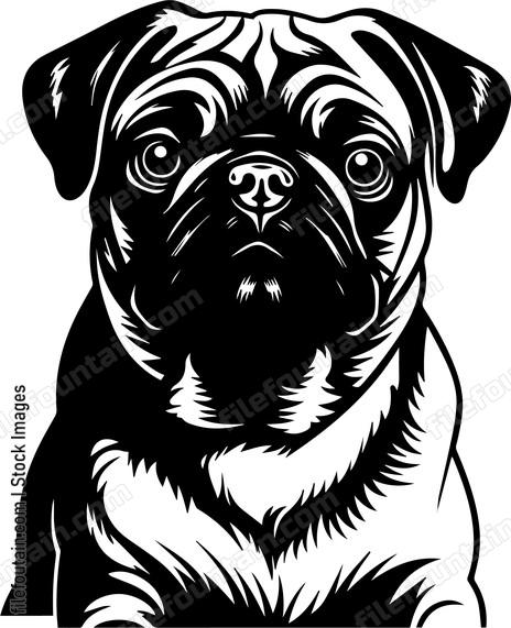 Pug