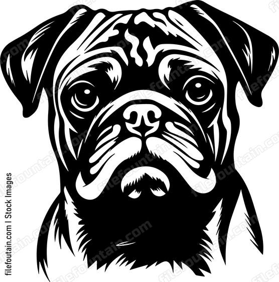 Pug