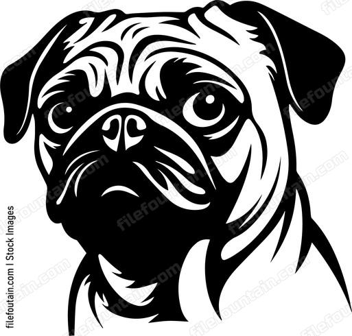 Pug