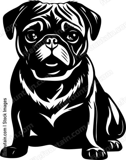 Pug