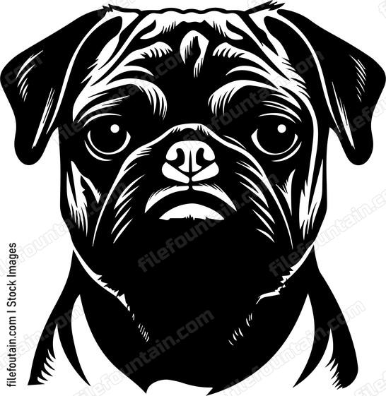 Pug