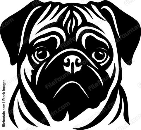 Pug