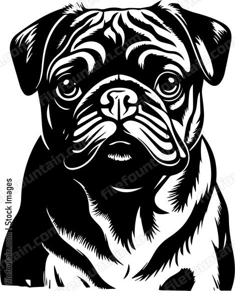 Pug