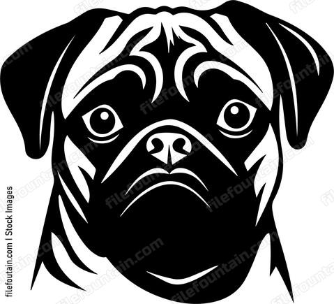 Pug