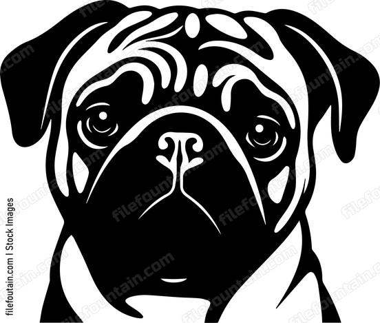 Pug