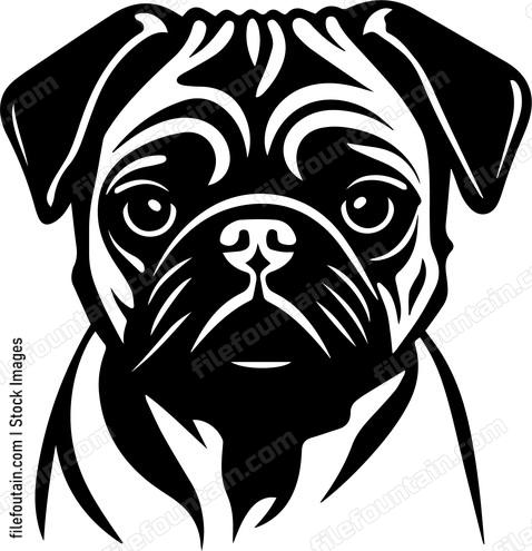 Pug