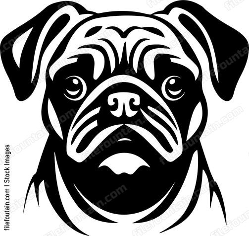 Pug