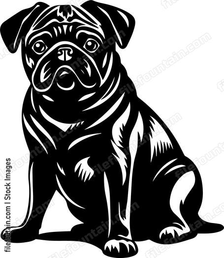 Pug