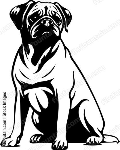 Pug