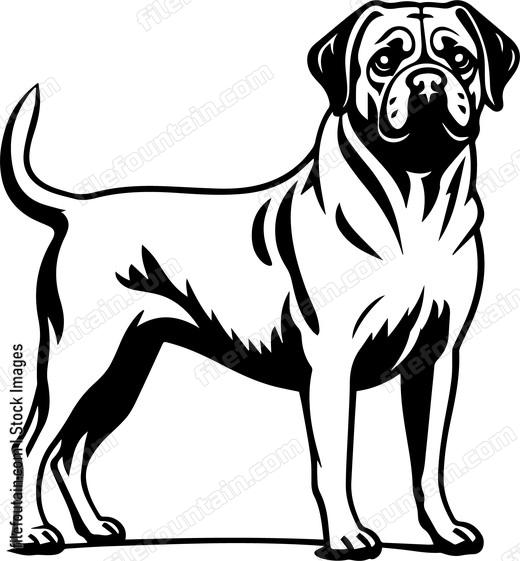 Pug