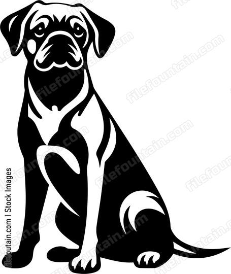 Pug