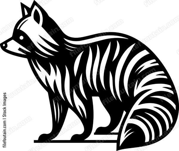 Raccoon