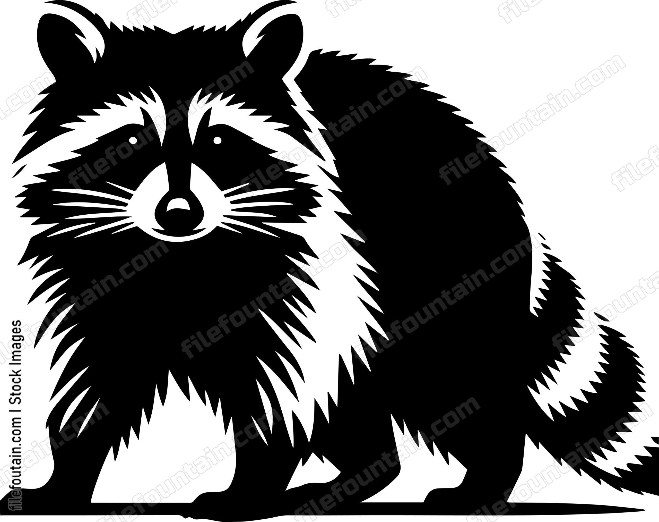 Raccoon