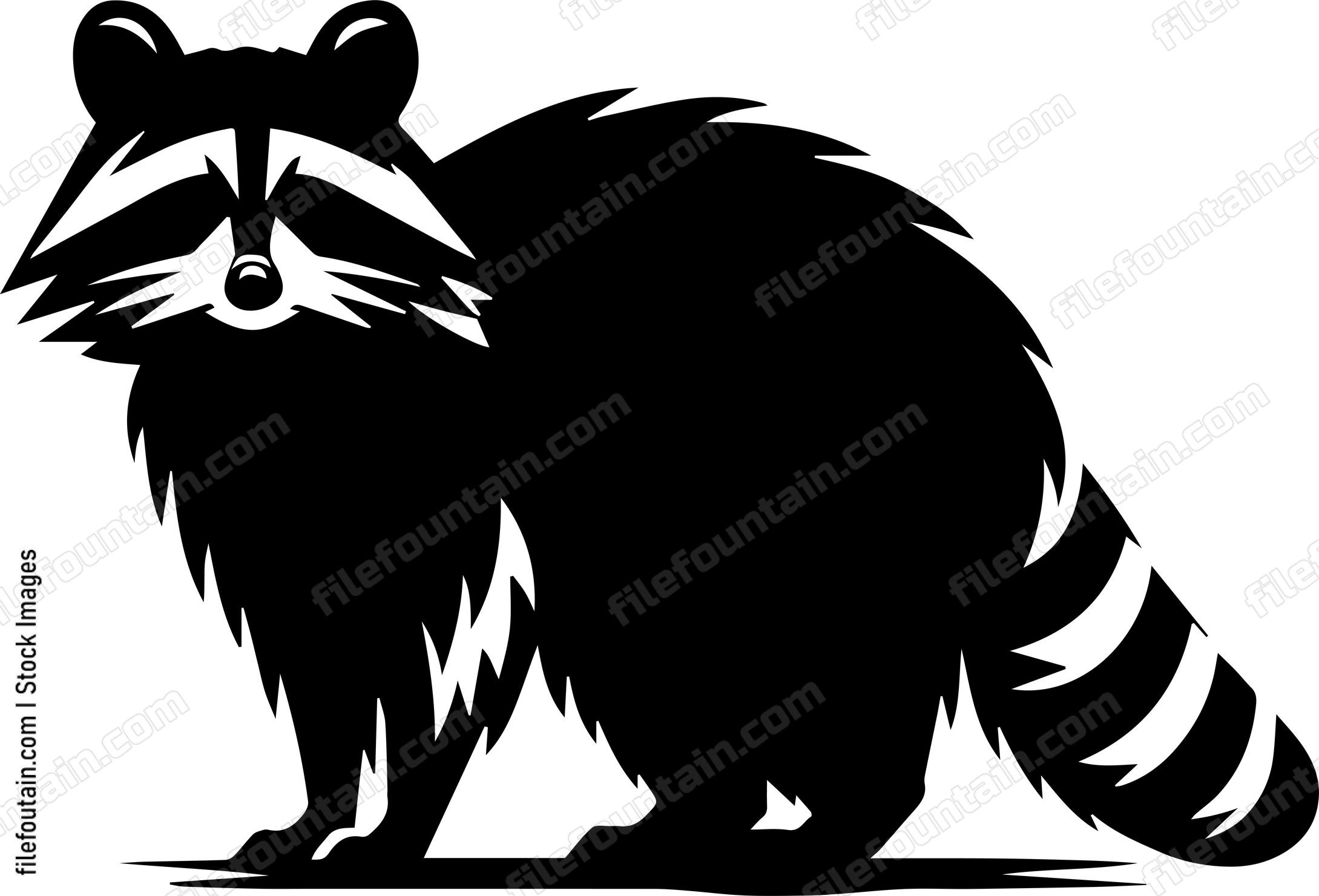 Raccoon