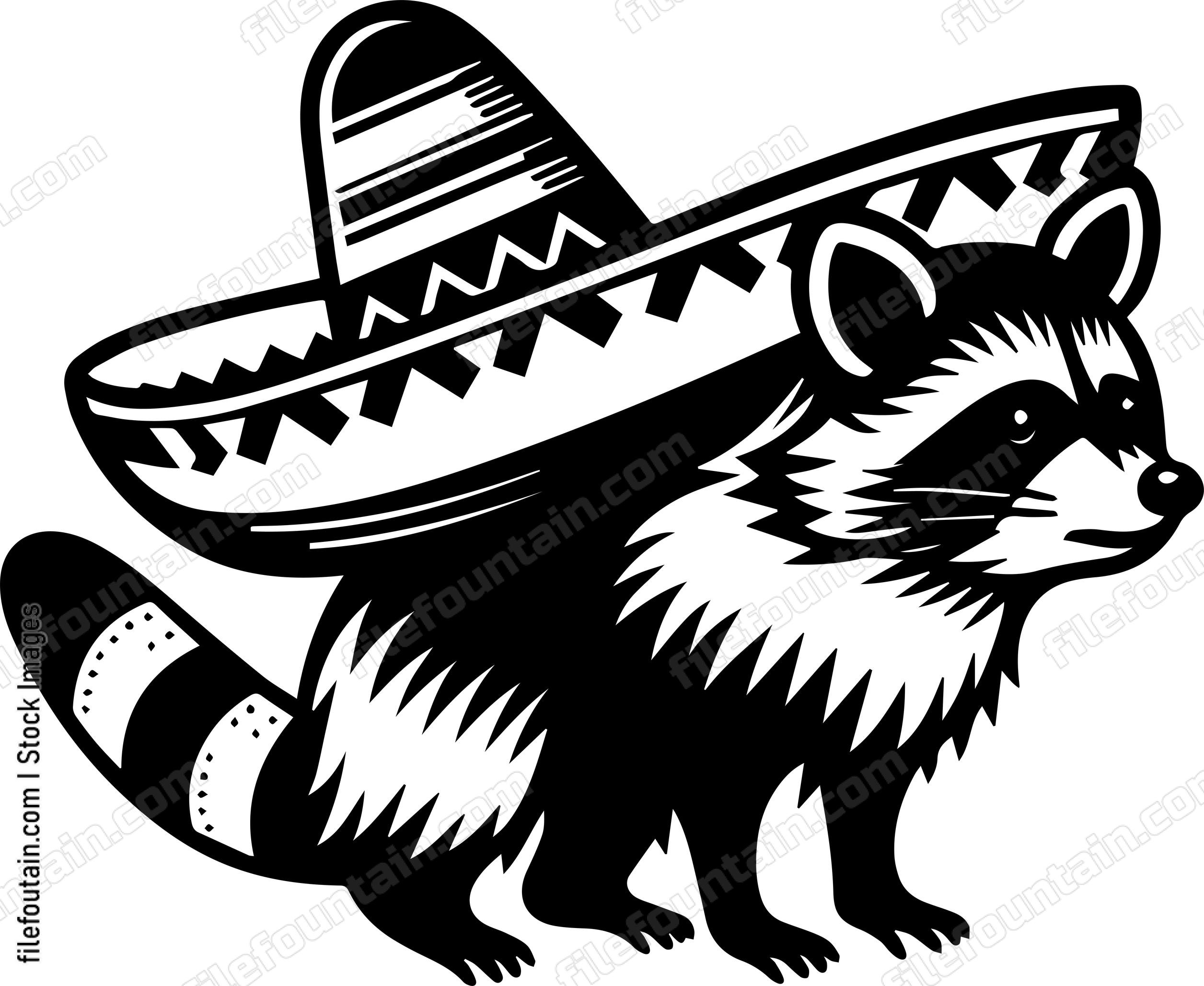Raccoon With Sombrero