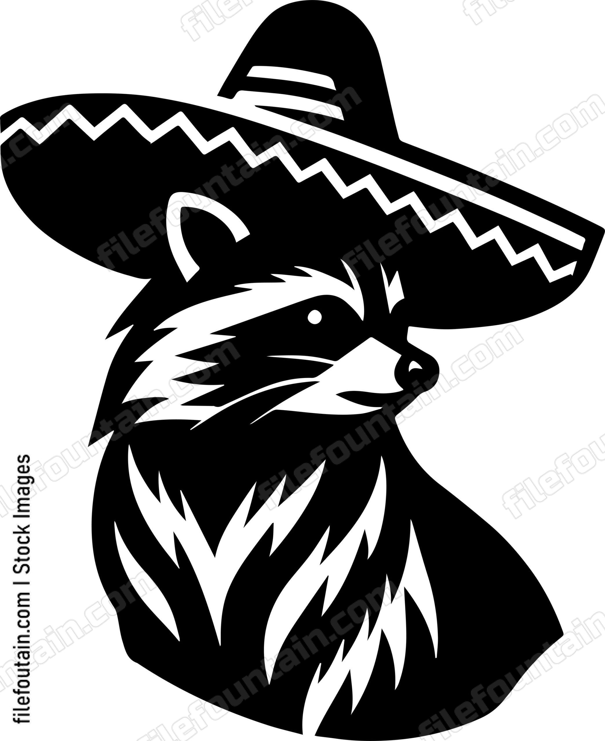 Raccoon With Sombrero