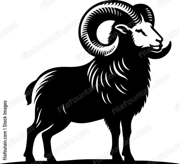 Ram