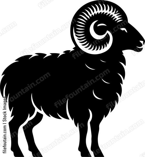 Ram