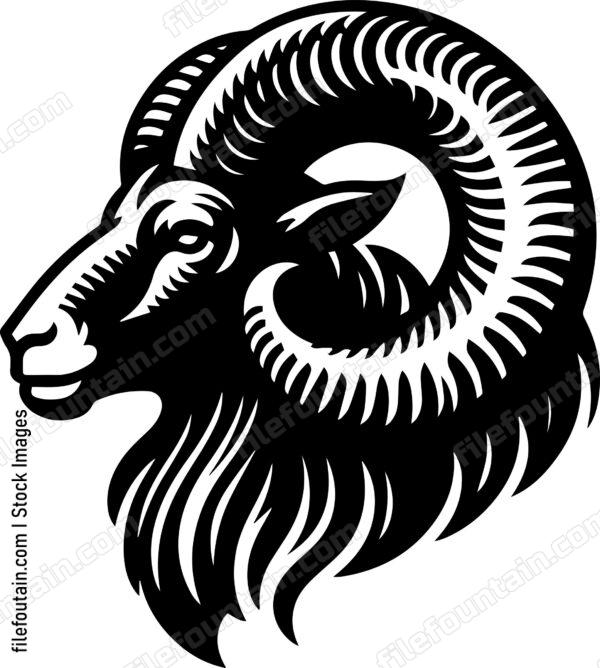 Ram
