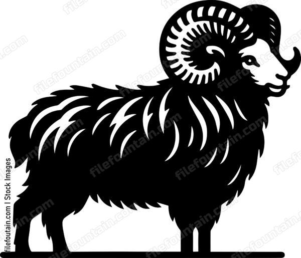 Ram